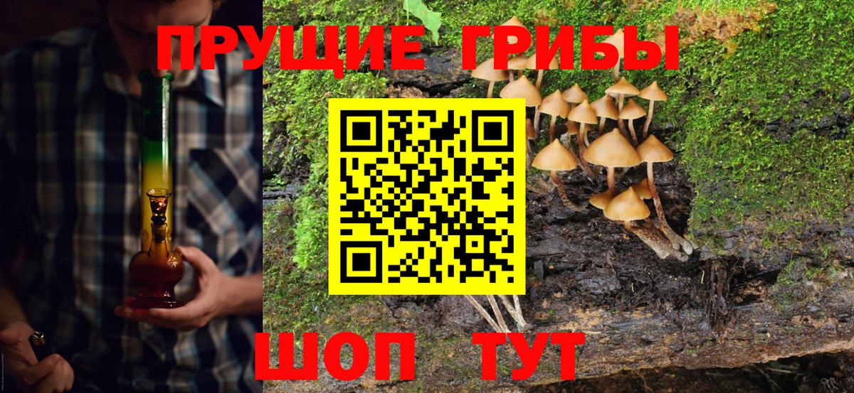 Галлюциногенные грибы Psilocybine cubensis  наркотики  Карасук  Галлюциногенные грибы ЛСД  Вход с VPN 